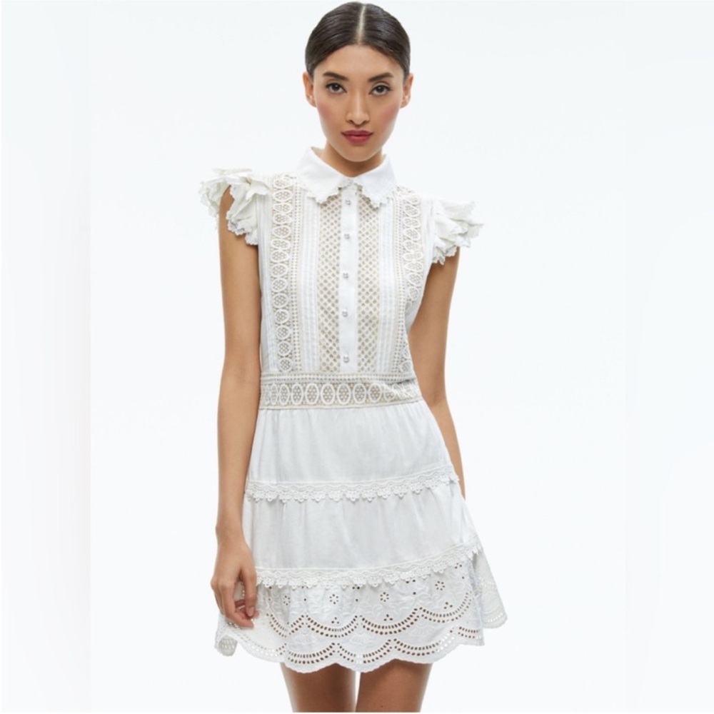 Alice and Olivia Meeko Embroidered Ruffle Sleeve Dress
